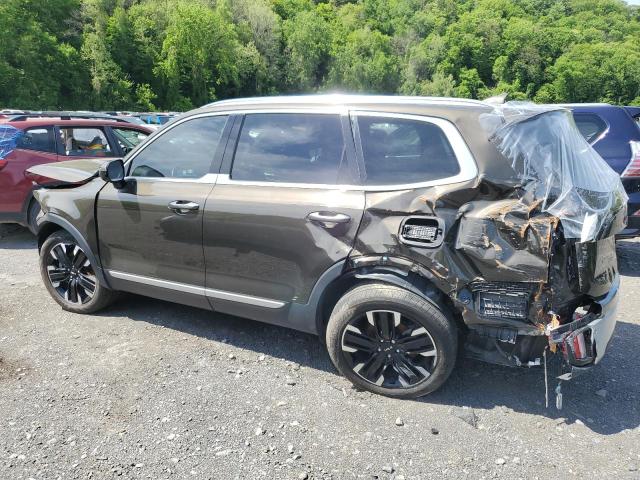 KIA TELLURIDE 2023 brown  gas 5XYP5DGC4PG355197 photo #3