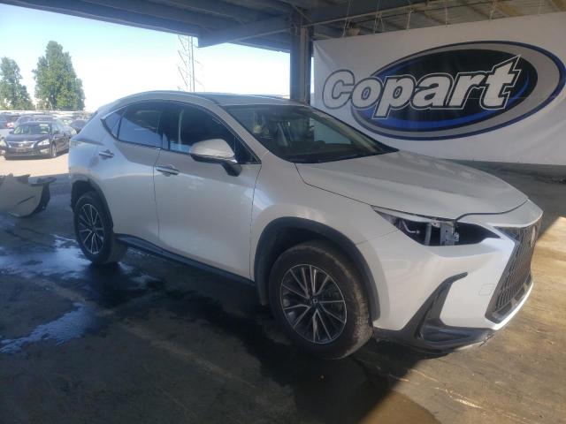 Vin: jtjakcez0r5020415, lot: 56429565, lexus nx 350h ba 350h base 20244