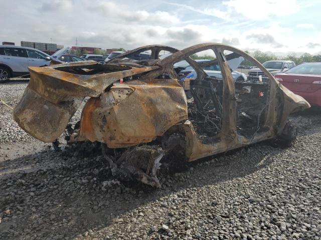 2024 TESLA MODEL Y 7SAYGAEEXRF079784
