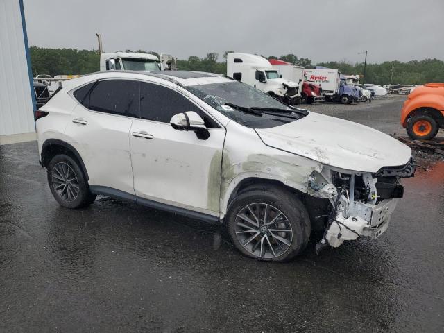 2024 LEXUS NX 350 PRE #3305340315