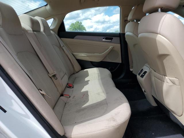 2019 HYUNDAI SONATA LIM 5NPE34AF4KH743029