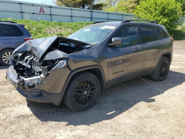 Vin: 1c4pjmdbxew256942, lot: 55558445, jeep grand cher limited 2014 img_1