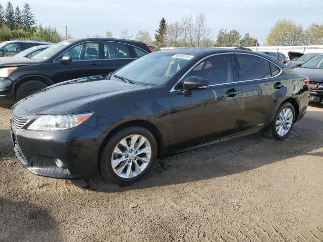 Vin: jthbw1gg0d2018412, lot: 56830435, lexus es300 300h 2013 img_1