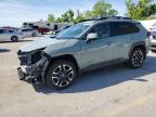 2019 TOYOTA RAV4 ADVEN - 2T3J1RFV8KW003929