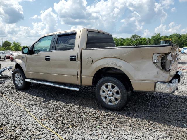 Vin: 1ftew1cm7dkg38281, lot: 55798635, ford f-150 supercrew 20132