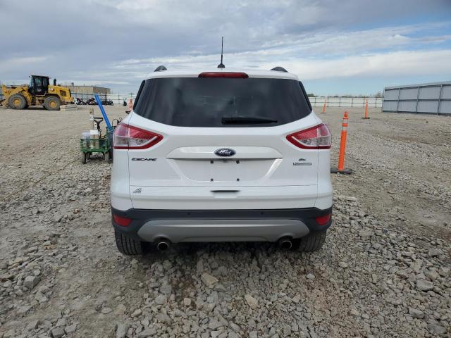 2014 FORD ESCAPE SE - 1FMCU0GX0EUC17869