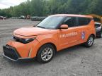Top Destinations for Shipping Cars from the USA