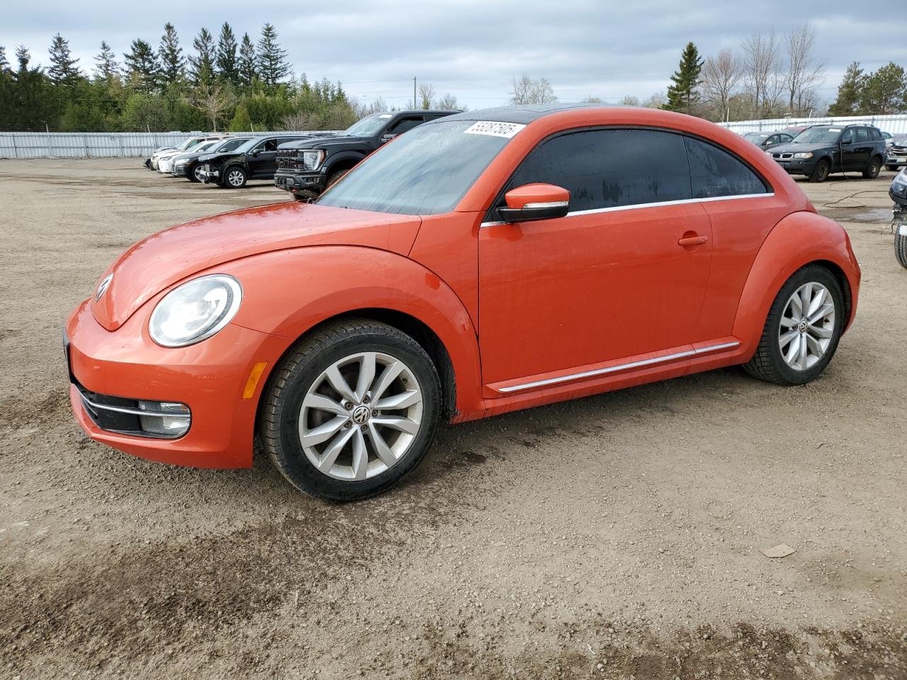 VOLKSWAGEN BEETLE SE