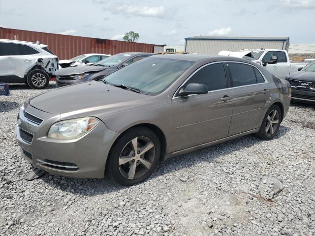 Vin: 1g1zc5eu7bf368398, lot: 57391145, chevrolet malibu 1lt 2011 img_1