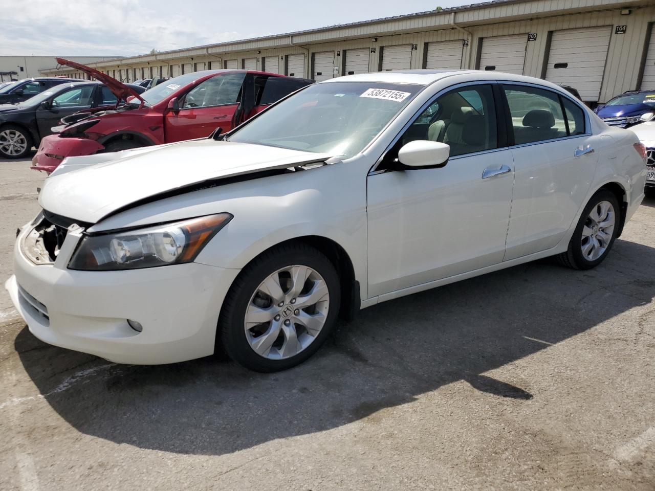 HONDA ACCORD EXL