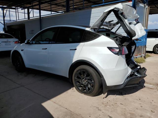 2023 TESLA MODEL Y 7SAYGDEEXPF607533