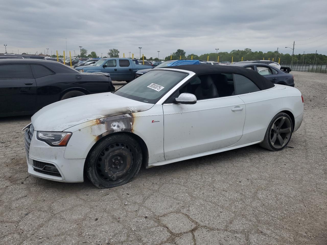 AUDI S5 PREMIUM PLUS