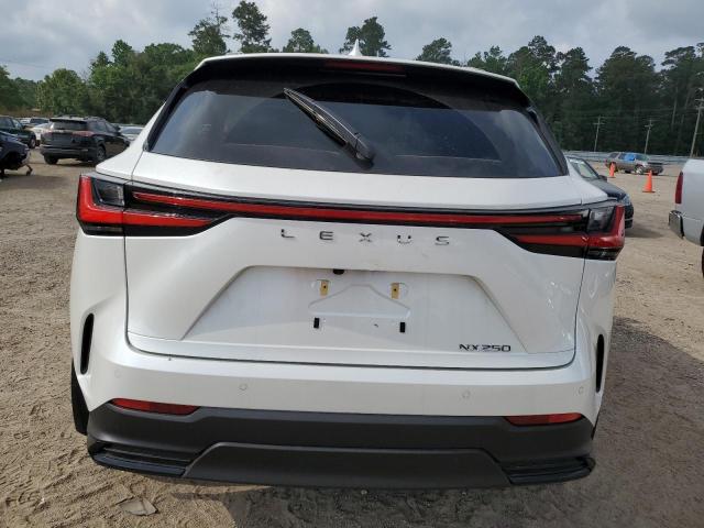 2024 LEXUS NX 250 PRE JTJGDCAZ0R2014142
