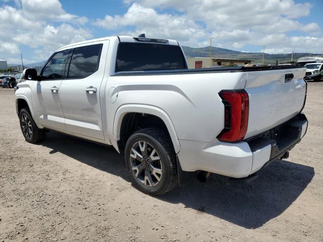 Vin: 5tfla5dbxpx062395, lot: 57526605, toyota tundra crewmax sr 20232
