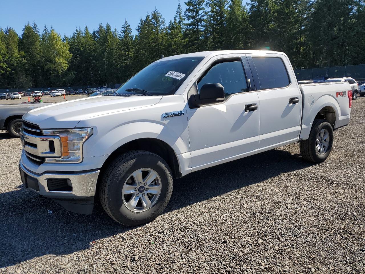 FORD F-150 2019