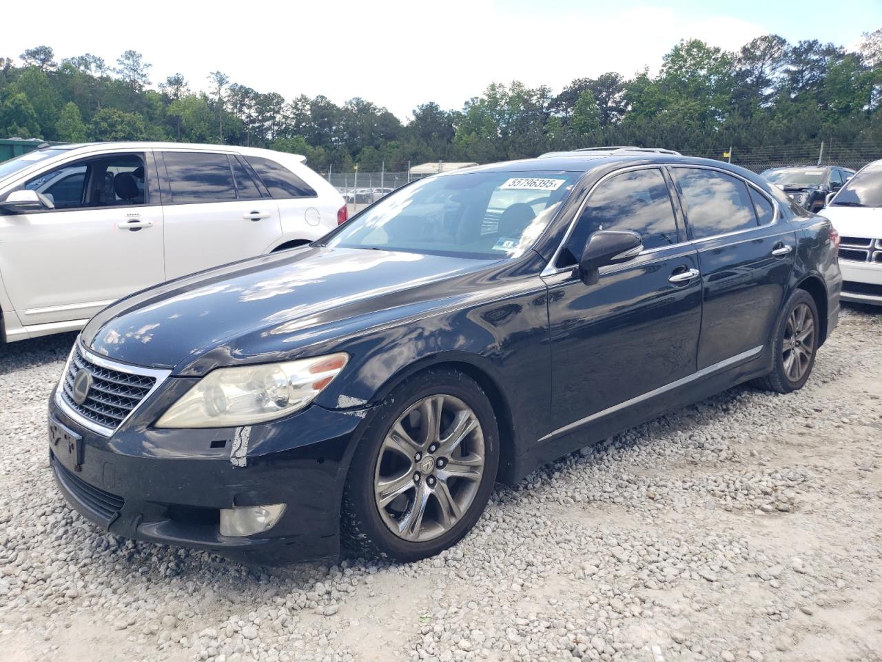 LEXUS LS 460 460L