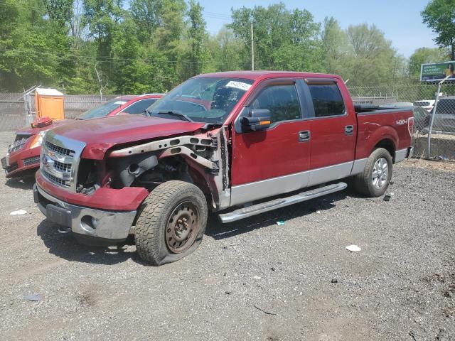 Vin: 1ftfw1efxdfa97254, lot: 55405145, ford f-150 supercrew 2013 img_1