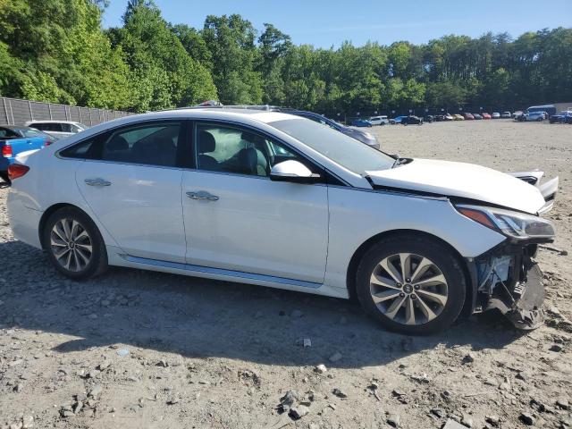 2017 HYUNDAI SONATA SPO 5NPE34AF8HH536149