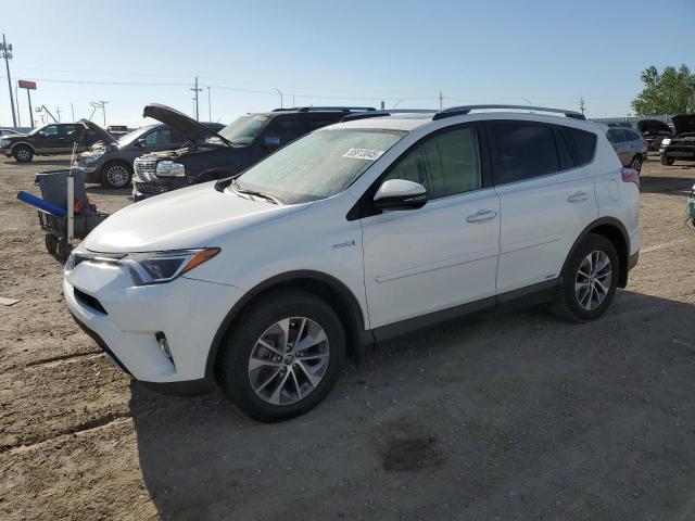 Vin: jtmrjrev9gd004936, lot: 55813045, toyota rav4 xle 2016 img_1
