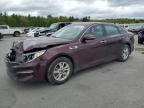 2016 KIA OPTIMA LX - 5XXGT4L39GG110623