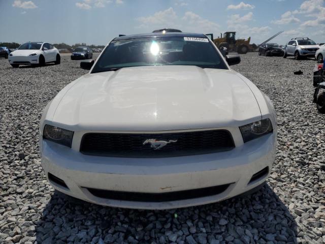 2010 FORD MUSTANG - 1ZVBP8AN8A5118621