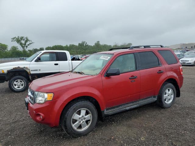 Vin: 1fmcu0d7xbka67779, lot: 57534495, ford escape xlt 2011 img_1