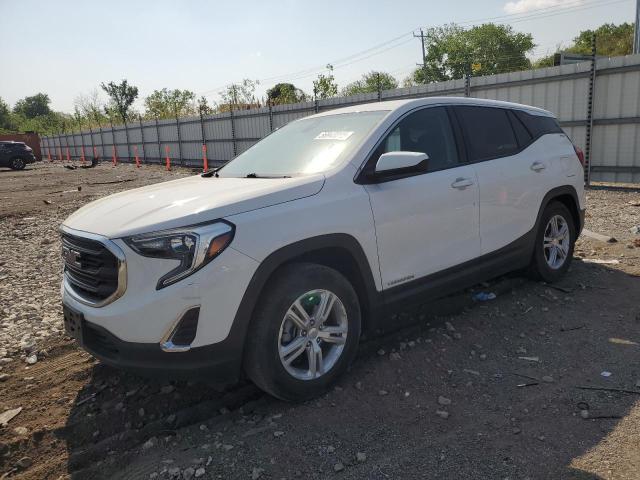 Vin: 3gkalmev1ll157586, lot: 56943315, gmc terrain sle 2020 img_1