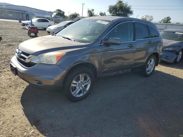 Vin: 5j6re3h70al043985, lot: 57896115, honda crv exl 2010 img_1