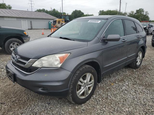 Vin: 5j6re4h72bl038407, lot: 58599935, honda crv exl 2011 img_1