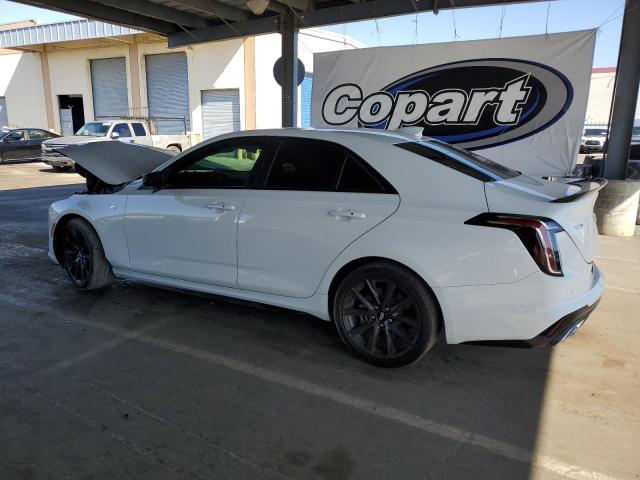 2023 CADILLAC CT4 SPORT 1G6DC5RK1P0122597