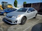 Top Destinations for Shipping Cars from the USA