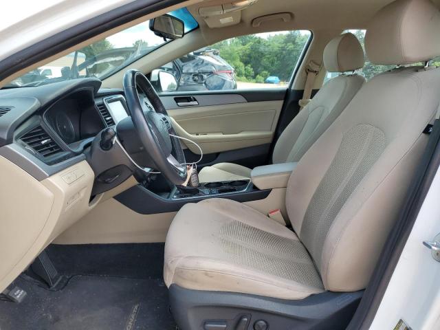 2019 HYUNDAI SONATA LIM 5NPE34AF4KH743029