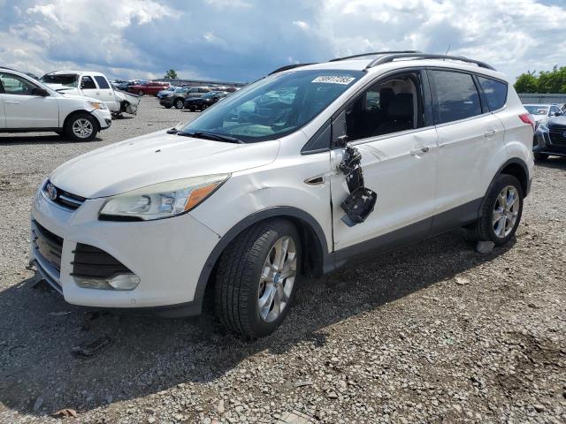 FORD ESCAPE SEL
