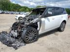 2019 LAND ROVER RANGE ROVE - SALGS2SV3KA524374