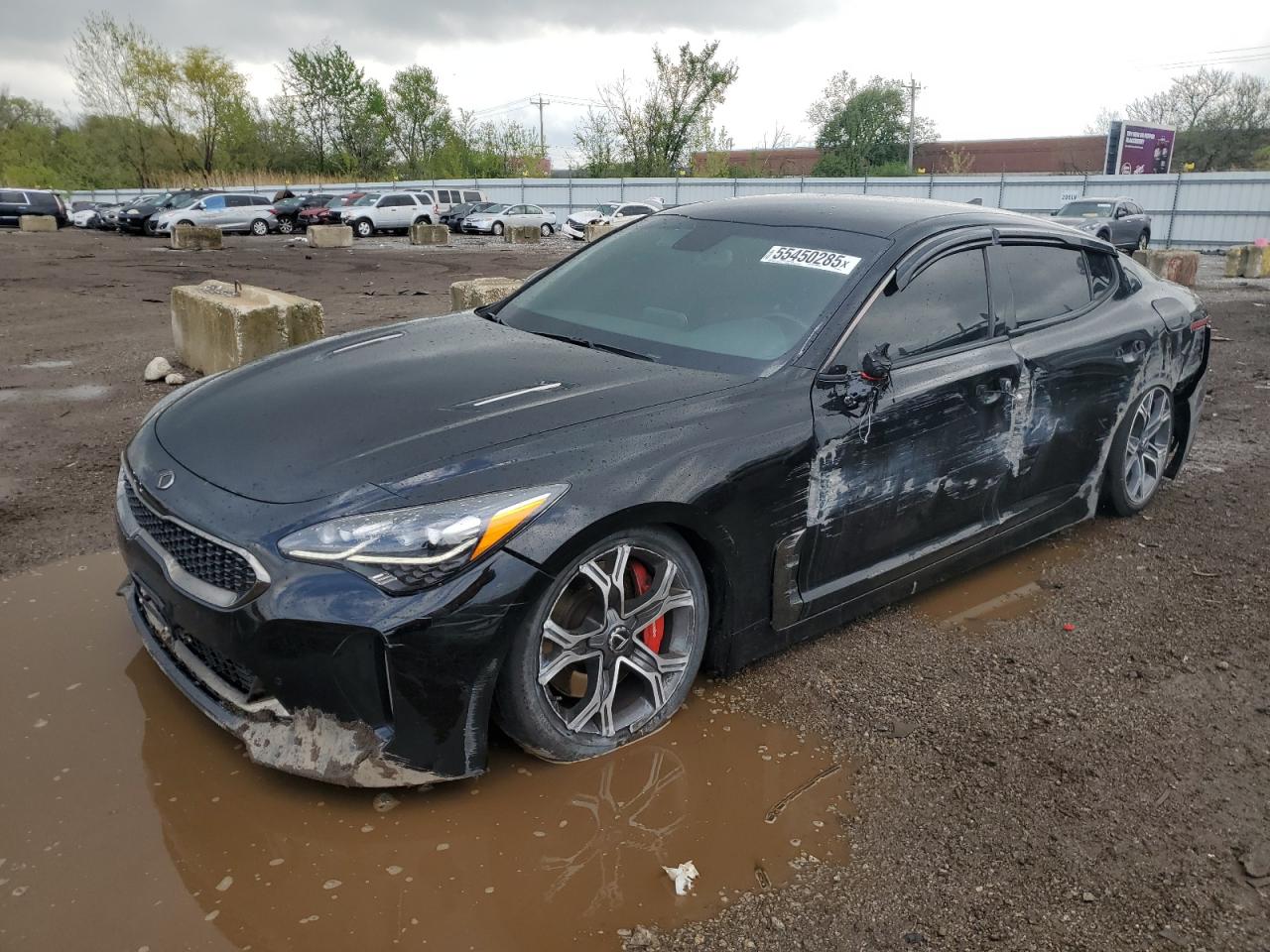   2019