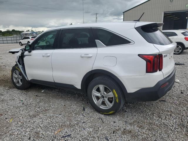 Vin: 5xyrgdlc7pg207666, lot: 55486565, kia sorento lx 20232