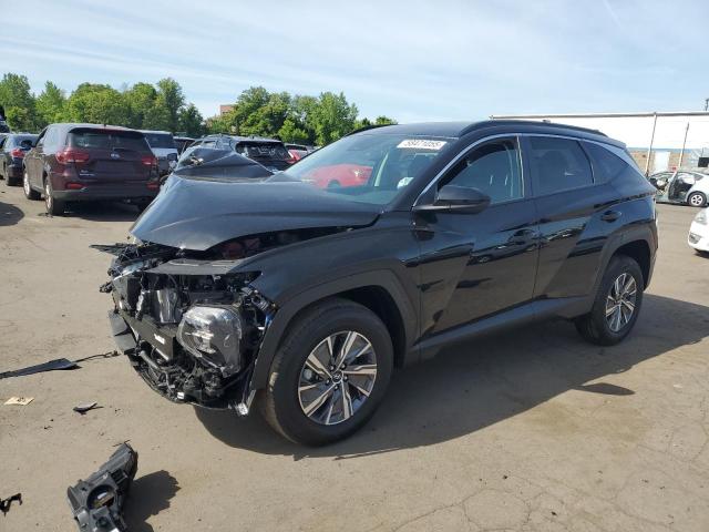 2024 HYUNDAI TUCSON BLU KM8JBCD19RU191454