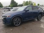 Top Destinations for Shipping Cars from the USA