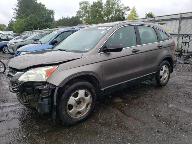 Vin: 5j6re4h34bl039510, lot: 58443895, honda crv lx 2011 img_1