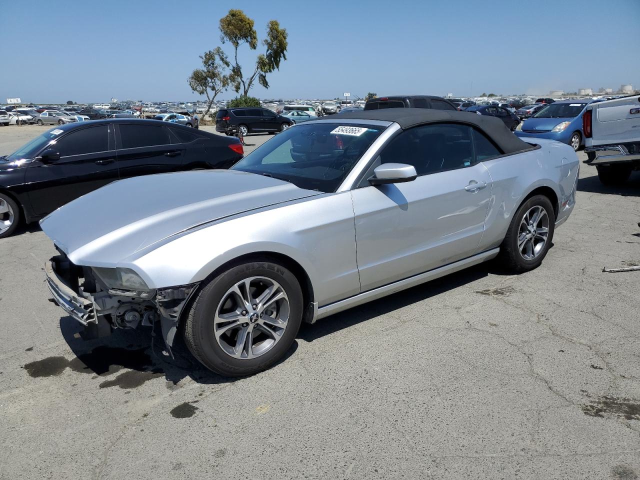 FORD MUSTANG