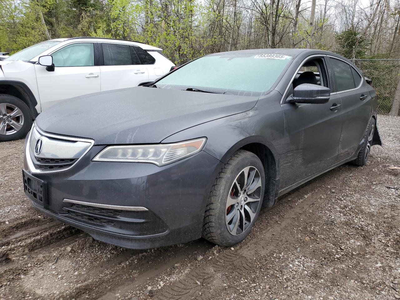 ACURA TLX