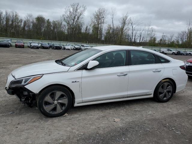 HYUNDAI SONATA HYB