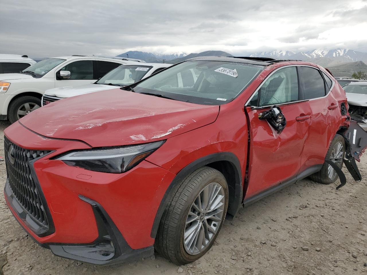 LEXUS NX 350H BASE