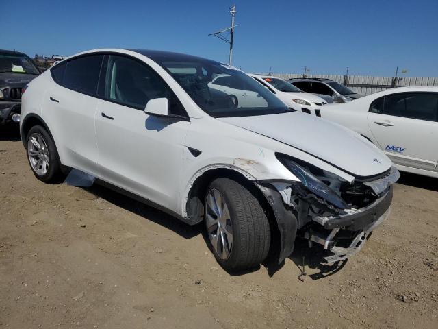 Vin: 7saygdee0rf983516, lot: 57849975, tesla model y 20244