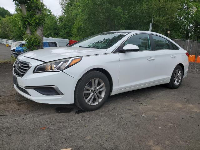 Vin: 5npe24af0gh418498, lot: 57211905, hyundai sonata se 2016 img_1