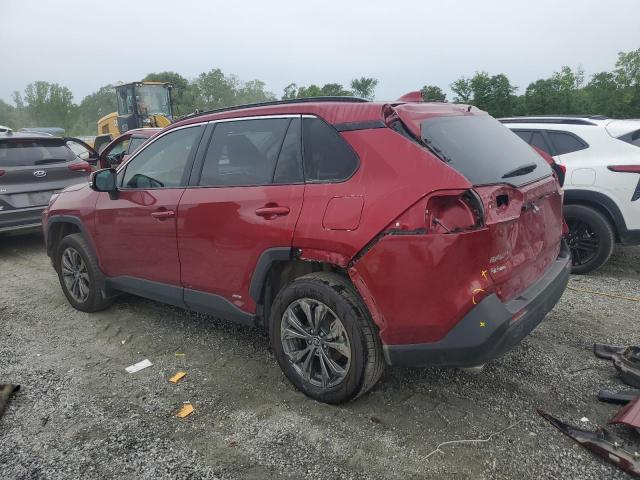 Vin: 4t3b6rfvxru161608, lot: 55629935, toyota rav4 xle premium 20242