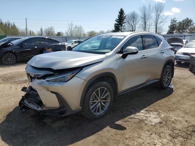 Vin: 2t2adcez0sc006175, lot: 49885215, lexus nx 250 bas 250 base 2025 img_1