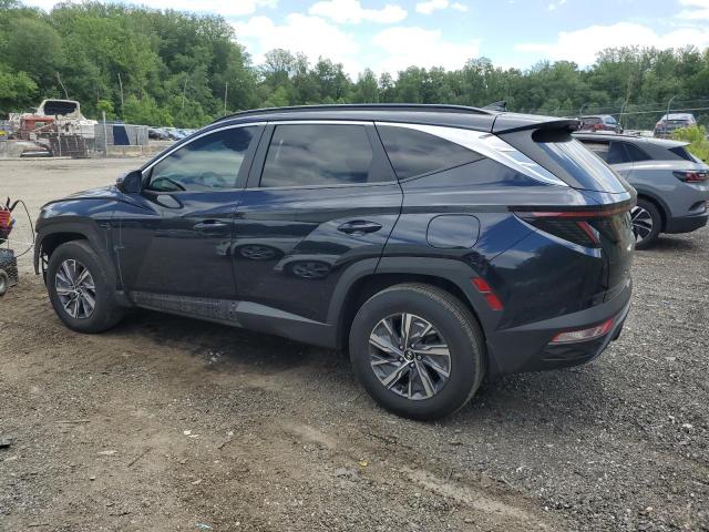 2022 HYUNDAI TUCSON BLU KM8JBCA19NU040595