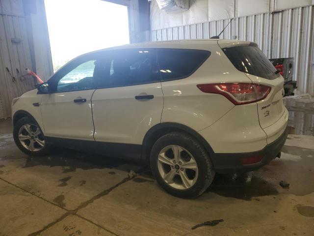 2014 FORD ESCAPE S - 1FMCU0F7XEUE35562