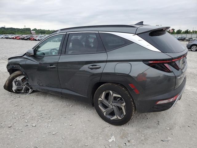 Vin: km8jecd18ru241770, lot: 57354615, hyundai tucson limited 20242
